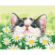 Картина по номерам "Котик в ромашках" Brushme BS51569 40х50 см