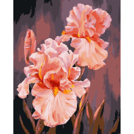 Картина по номерам "Розовые ирисы" Art Craft 13140-AC 40х50 см