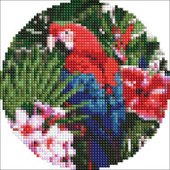 Алмазная мозаика на круглом подрамнике "Яркий попугай" AM-R7918 d19см