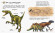 Детская энциклопедия про Динозавров 614022 для дошкольников опт, дропшиппинг