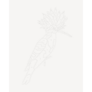 Книга-раскраска Зоометрия. Удивительные птицы Жорж 101048