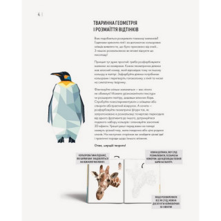 Книга-раскраска Зоометрия. Дикие животные Жорж 101047