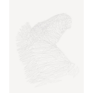 Книга-раскраска Зоометрия. Дикие животные Жорж 101047