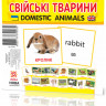 Развивающие карточки 
