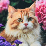 Алмазная мозаика 