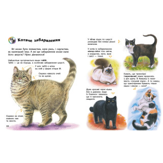 Энциклопедия дошкольника "Коты" 614039 для самых маленьких