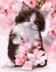 Картина по номерам. Rainbow Art "Котик в розовом цвету" GX24603-RA                                  