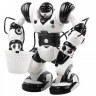 Робот на радиоуправлении Roboactor TT313 с ведром опт, дропшиппинг
