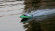 Катер на радіокеруванні Fei Lun FT009 High Speed Boat (Зелений) - гурт(опт), дропшиппінг 