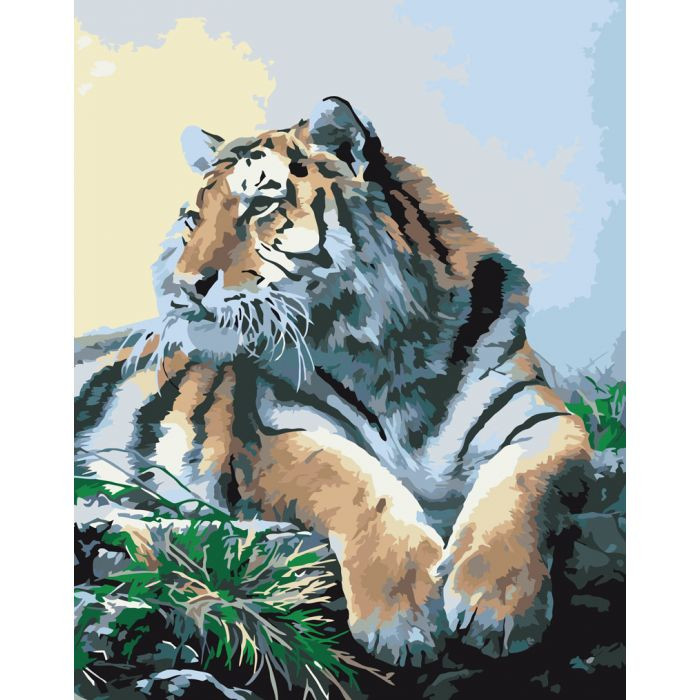 Картина по номерам. Животные, птицы "Гордый тигр" 40х50см KHO2460                                   