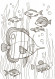 Дитяча книга розмальовок: Тварини 670008 укр. мовою - гурт(опт), дропшиппінг 