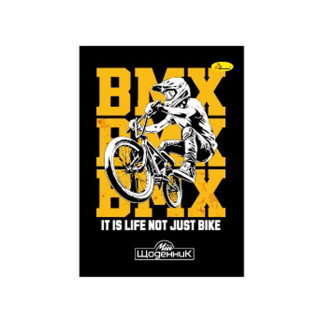 Дневник ученический "BMX-BMX" АП-0101-22