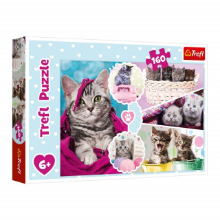 Детские пазлы "Милые котята" 15371 (160 элем.)