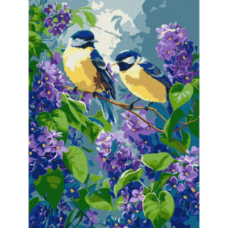 Картина по номерам "Весенний дуэт" ©art_selena_ua KHO6654, 30х40 см