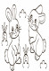 Детская водная раскраска: Дикие животные 734008, 8 страниц опт, дропшиппинг