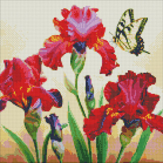 Алмазная мозаика "Изысканные ирисы" ©annasteshka AMO7650 40х40 см Идейка
