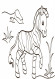 Дитяча водна розмальовка: Екзотичні тварини 734012, 8 сторінок - гурт(опт), дропшиппінг 