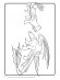 Книжка-раскраска с наклейками "Как приручить дракона "Закладки" 1271002 на укр. языке опт, дропшиппинг