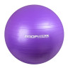 Мяч для фитнеса Profi M 0275-1 55 см опт, дропшиппинг