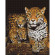 Алмазная мозаика "Ночные леопарды"  DBS1085 Brushme 40х50 см опт, дропшиппинг