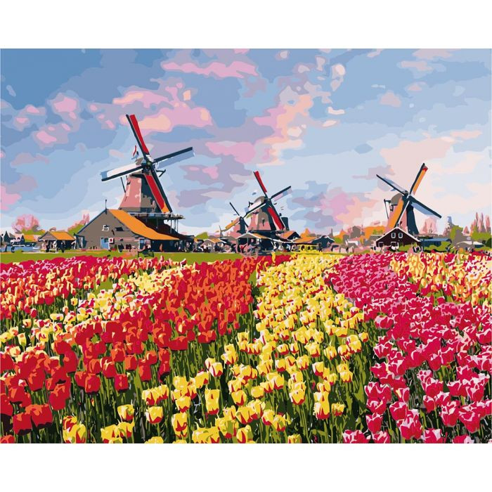Картина по номерам Сельский пейзаж "Красочные тюльпаны Голландии" 40*50см KHO2224