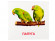 Развивающие карточки "Птицы" (110х110 мм) 72753 на укр./англ. языке опт, дропшиппинг