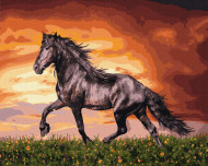 Картина по номерам. Rainbow Art "Черный конь" GX34880-RA                                            