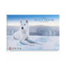 Альбом для малювання Animal PB-SC-030-287-1 спіраль, 30 аркушів - гурт(опт), дропшиппінг 