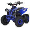 Дитячий електромобіль Квадроцикл PROF1 E-XBW-1200-4(MP3) до 75 кг - гурт(опт), дропшиппінг 