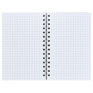 Блокнот для записей "ROAR" А6 АП-1710-14, 40 листов, пружина сбоку