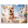 Альбом для рисования PB-SC-020-8005-1 спираль 20 листов опт, дропшиппинг