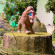Стретч-игрушка Повелители леса 8/SC21 в виде животного  опт, дропшиппинг