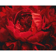 Картина по номерам "Изысканный цветок" Идейка KHO3121 40х50 см