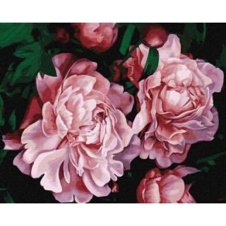 Картина по номерам "Пышное цветение" ©Popova Josephine Идейка KHO3232 40х50 см