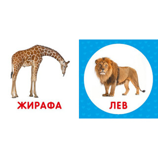Первая книга малыша "Дикие животные" 165048 картон, 12 страниц