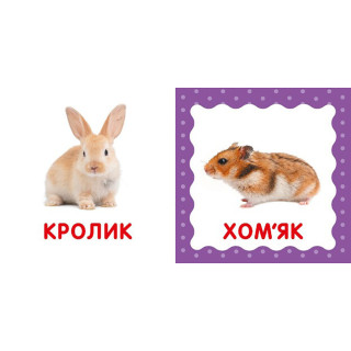 Первая книга малыша "Домашние животные" 165050 картон, 12 страниц