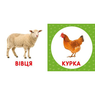 Первая книга малыша "Домашние животные" 165050 картон, 12 страниц