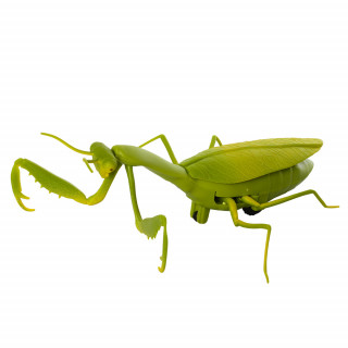 Богомол на радиоуправлении 6661 на батарейках