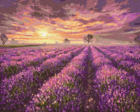 Картина за номерами. Brushme 