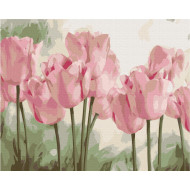 Картина по номерам "Нежные тюльпани" Brushme BS53322 40х50 см