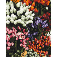 Картина по номерам "Ярмарка тюльпанов" Brushme BS52646 40х50 см