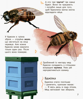 Дитяча енциклопедія про комах 614014 для дошкільнят