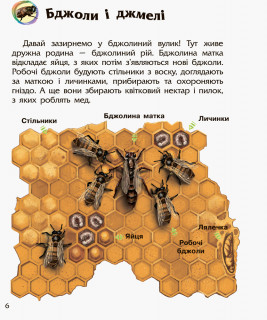 Дитяча енциклопедія про комах 614014 для дошкільнят