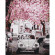 Картина по номерам. Городской пейзаж "Volkswagen Beetle" KHO3521, 40х50 см                           опт, дропшиппинг
