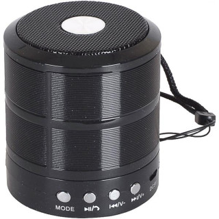 Колонка портативна MINI WS-887-X1-214 