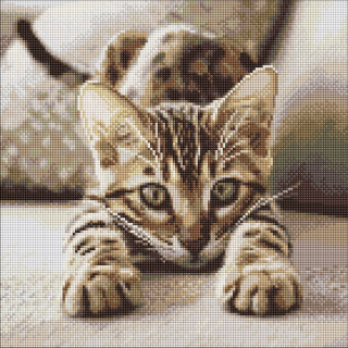 Алмазна мозаїка 
