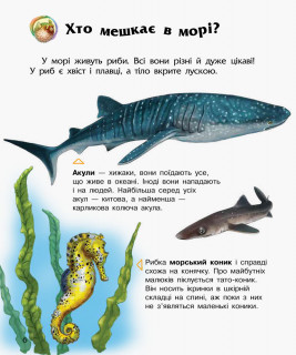 Детская энциклопедия про океаны и моря 614011 для дошкольников