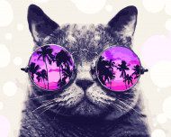 Картина по номерам. Brushme "Котик на Маями" GX29637, 40х50 см                                                