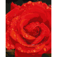 Картина по номерам "Роза в бриллиантах" Идейка KHO3207 40х50 см