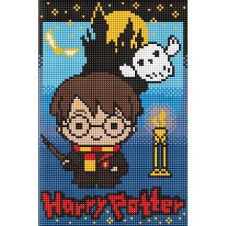 Алмазная мозаика без подрамника "Harry Potter: Тайны темного замка" WB AMC20504, 20х30 см